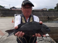 003442
