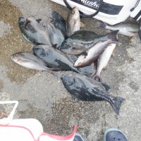 17f170a61fa2c31b785303001a6d4781