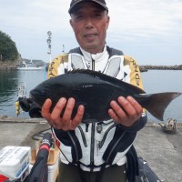 2bcb1ad29c94aea63a540cc6cd713053