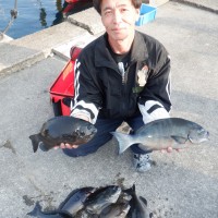 60d1ed04a2a1f3c941f6032ff604942a