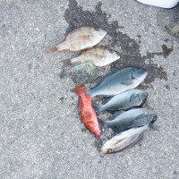 6a893c996dcbe7d013e46a06833c6ba1