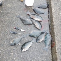 97852551a8319950925f94cb5794accb