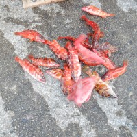 9c224636d7d5f8a2e93e8c69e8678867