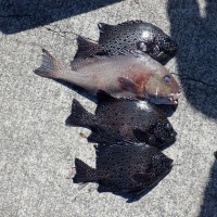 DSCF0041
