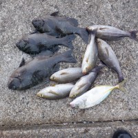 DSCF0108