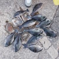 DSCF0116