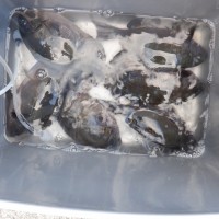 DSCF0171
