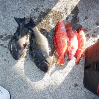 DSCF2759