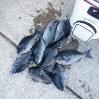DSCF2770