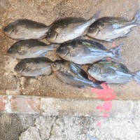 DSCF2799