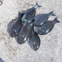 DSCF2904