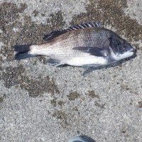 DSCF2928