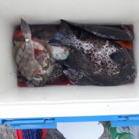 DSCF3088