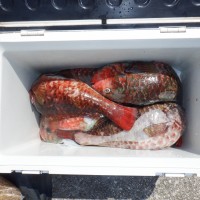 DSCF3093