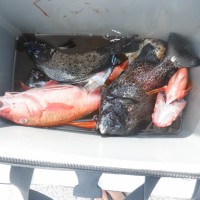DSCF3271