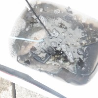 DSCF3908