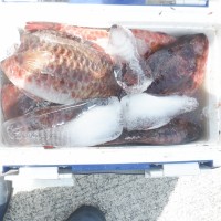 DSCF3978