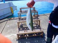 DSCF4084