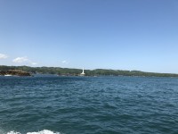 IMG_0502