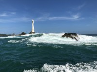 IMG_0551
