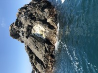IMG_06034