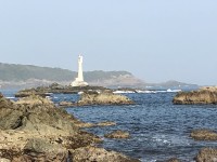 IMG_0781