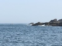 IMG_0782