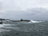 IMG_0798