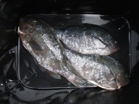 P1230001