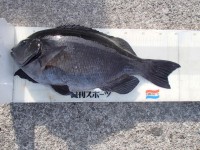 P1270053