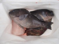 P2150078