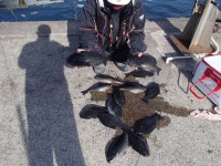 P22400431