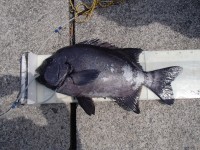P4110030