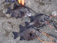 P7100015