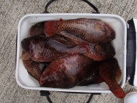 P7130001