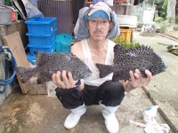 P7130002