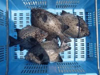 P7310007