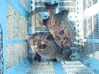 P8130039