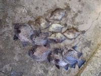 PB030001