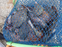 PB0300061