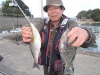 PB060102