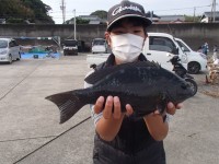 PB0800051