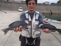 PB1200371
