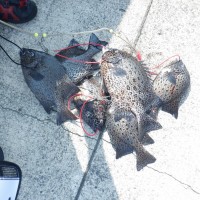 c7682893879e6621d9466388f1e46062