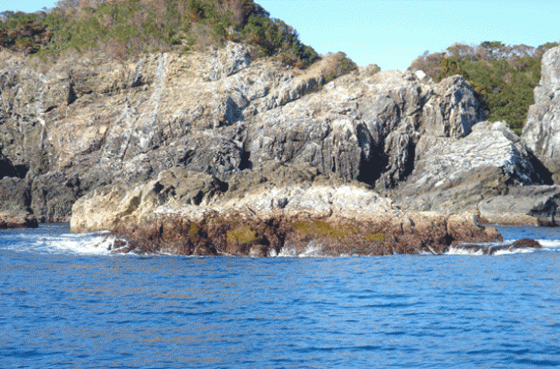 長島